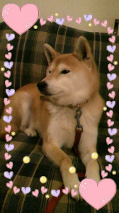 ☆リセット… 画像1