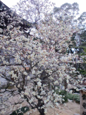 出勤 画像3