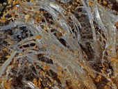 赤坂台総合公園を歩く 画像1