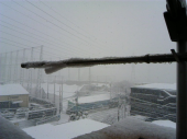 雪♪ 画像2
