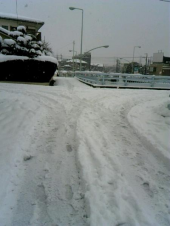 雪♪ 画像3