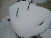 「牡丹雪？」 画像3
