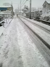 ☆降り続ける雪、、、☆ 画像1