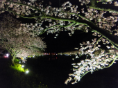 no title 画像1
