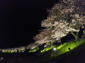 no title 画像3