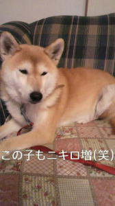 ☆やはり私はこうであるべき…( *￣ー￣) 画像1