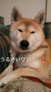 ☆やはり私はこうであるべき…( *￣ー￣) 画像2
