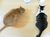 誕生日♪ 画像1