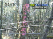 雑感（ブラックジョーク編） 画像3