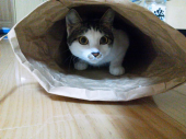↑：誰に似た？ 画像1
