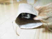 ↑：誰に似た？ 画像2