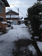 雪・・・・！！ 画像1