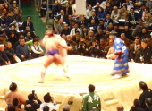 大相撲春場所 画像3