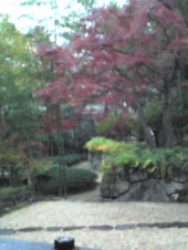 今日はカウンセリング 画像1