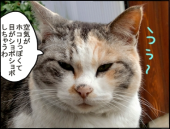 「春一番？」 画像2