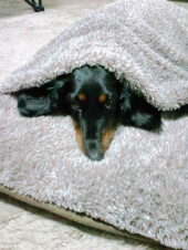 地震対策 画像3