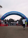 佐倉マラソン行って来ました。