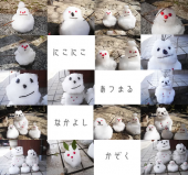 「home！」 画像3