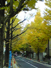 秋深し。 画像2