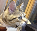 続・近況。