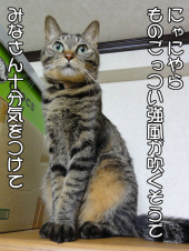「継続中～！」 画像2
