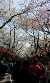 no title 画像1
