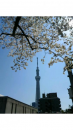 花見ラン♪