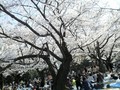 新大久保へ 画像1