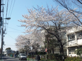 いよいよ明日から！ 画像1