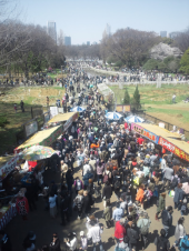 ひとり花見ラン２。 画像3