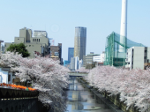 花見パート３ 画像1