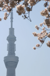 待ち望んでいた季節♪ 画像1