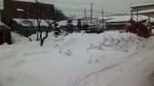 雪解け 画像2