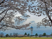 赤坂台総合公園コースを歩く 画像1
