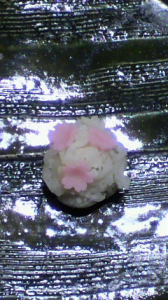 初桜 画像1