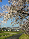 富士山と♪