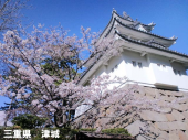 凄いなあ～ 画像2