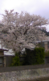 新しいパン屋さん(*^o^*) 画像2