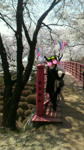 ☆長野行き珍道中(^ ○^) 画像2
