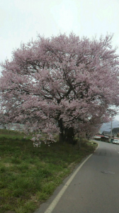 ☆長野満喫帰り道♪ 画像1