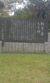 野菊の墓 画像2