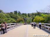 膝痛体操と伊勢神宮 画像1