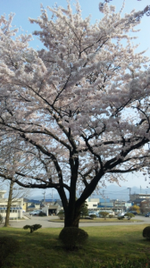 ぷっふぁ～(-^〇^-) 画像1