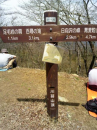山♫