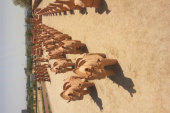 結局 画像1