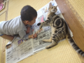 日記になってないし。