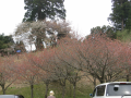 比叡山　延暦寺