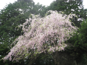比叡山　延暦寺 画像2