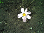 気持ち良く・・ない朝。 画像1