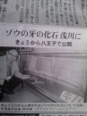 マイコースで大発見？！